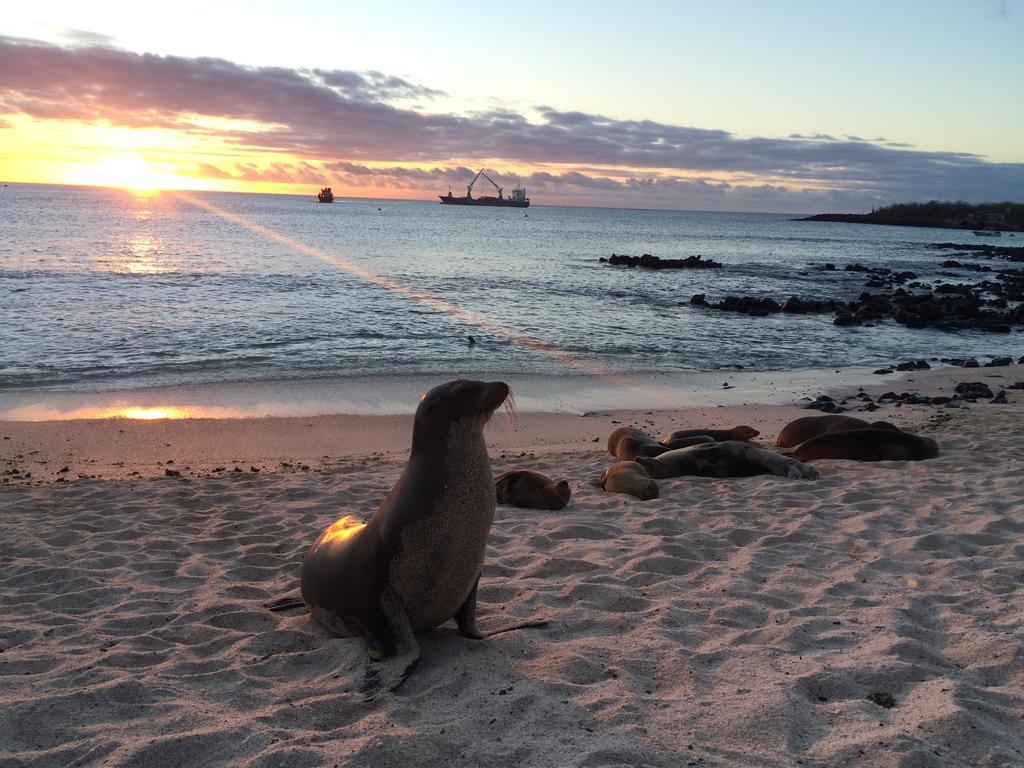 Hostal Cabanas Don Jorge Puerto Baquerizo Moreno Kültér fotó